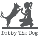 dobby the dog